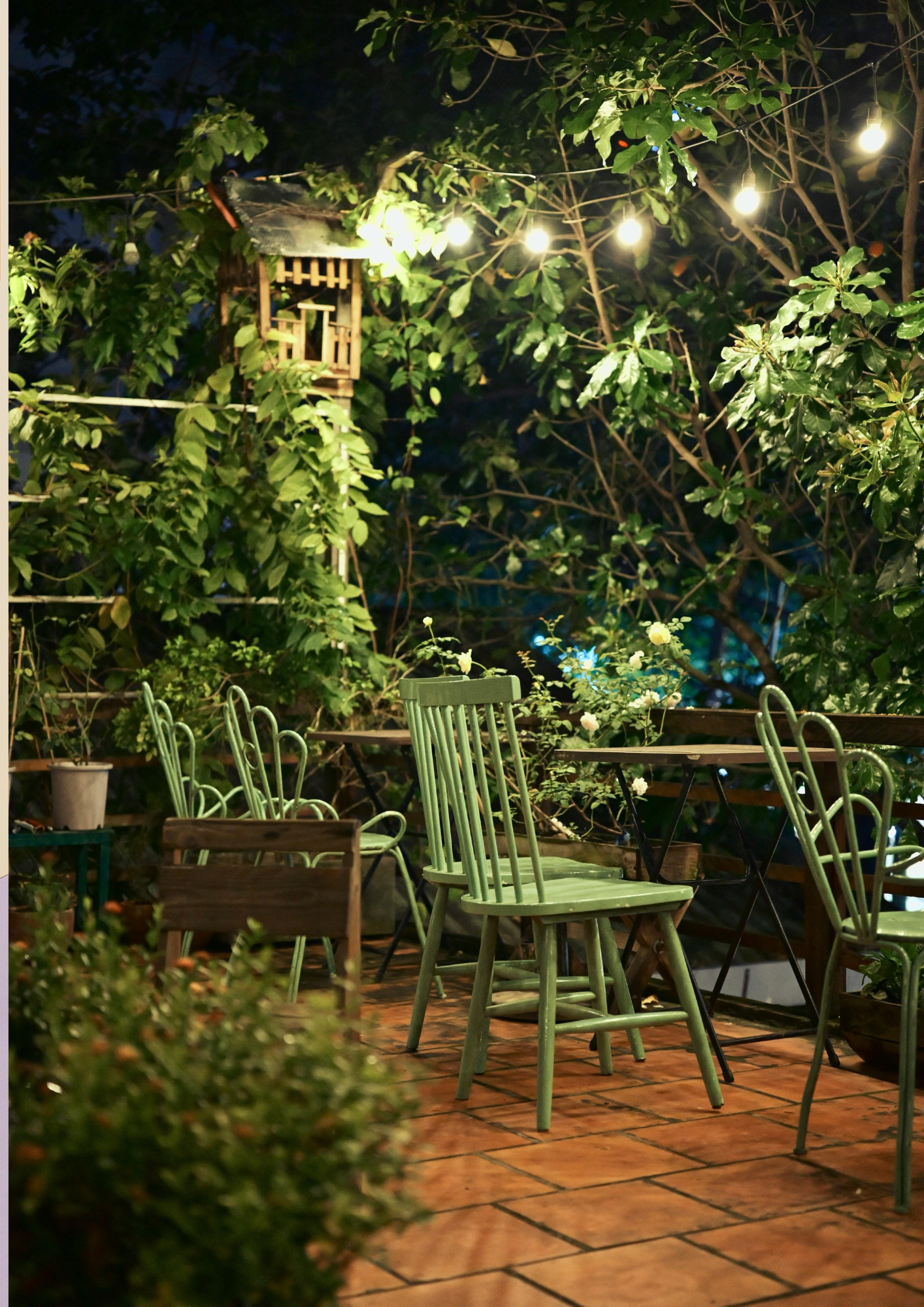 Garden, Pool & Patio